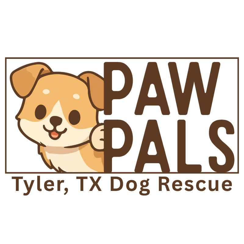 Logo design for a dog rescue featuring a friendly illustrated puppy with bold typography and warm, approachable branding.